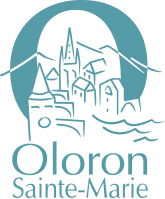 le-mur-oloron-escalade-voie-partenaire-association-commune-oloron-sainte-marie